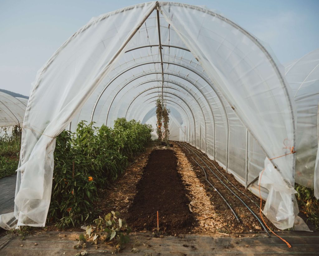 Prezračevanje rastlinjaka